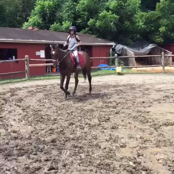 Solly Stables - trotting - Horse Boarding Near Me - Philadelphia, Pennsylvania
