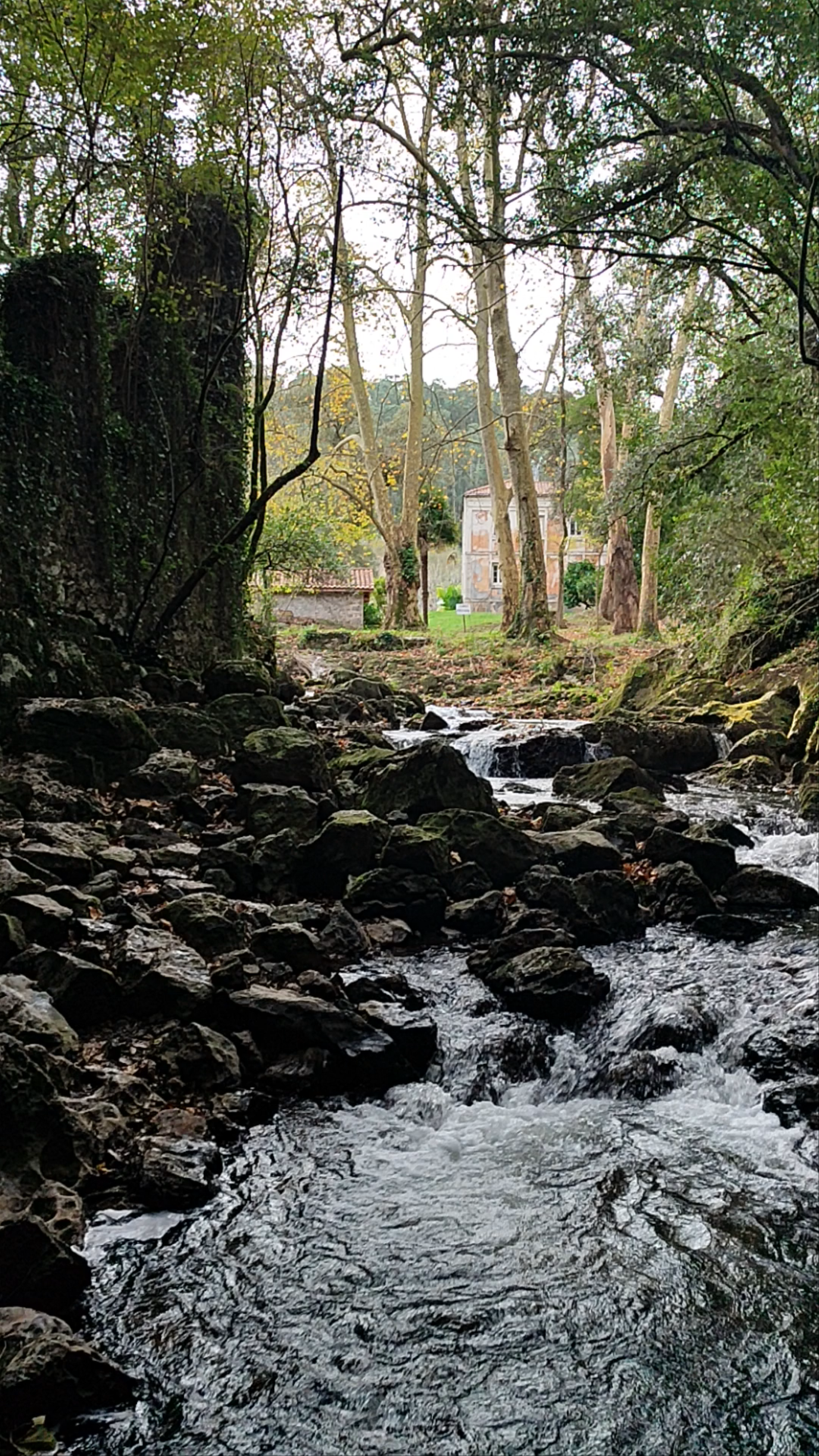 Fuente del Francés