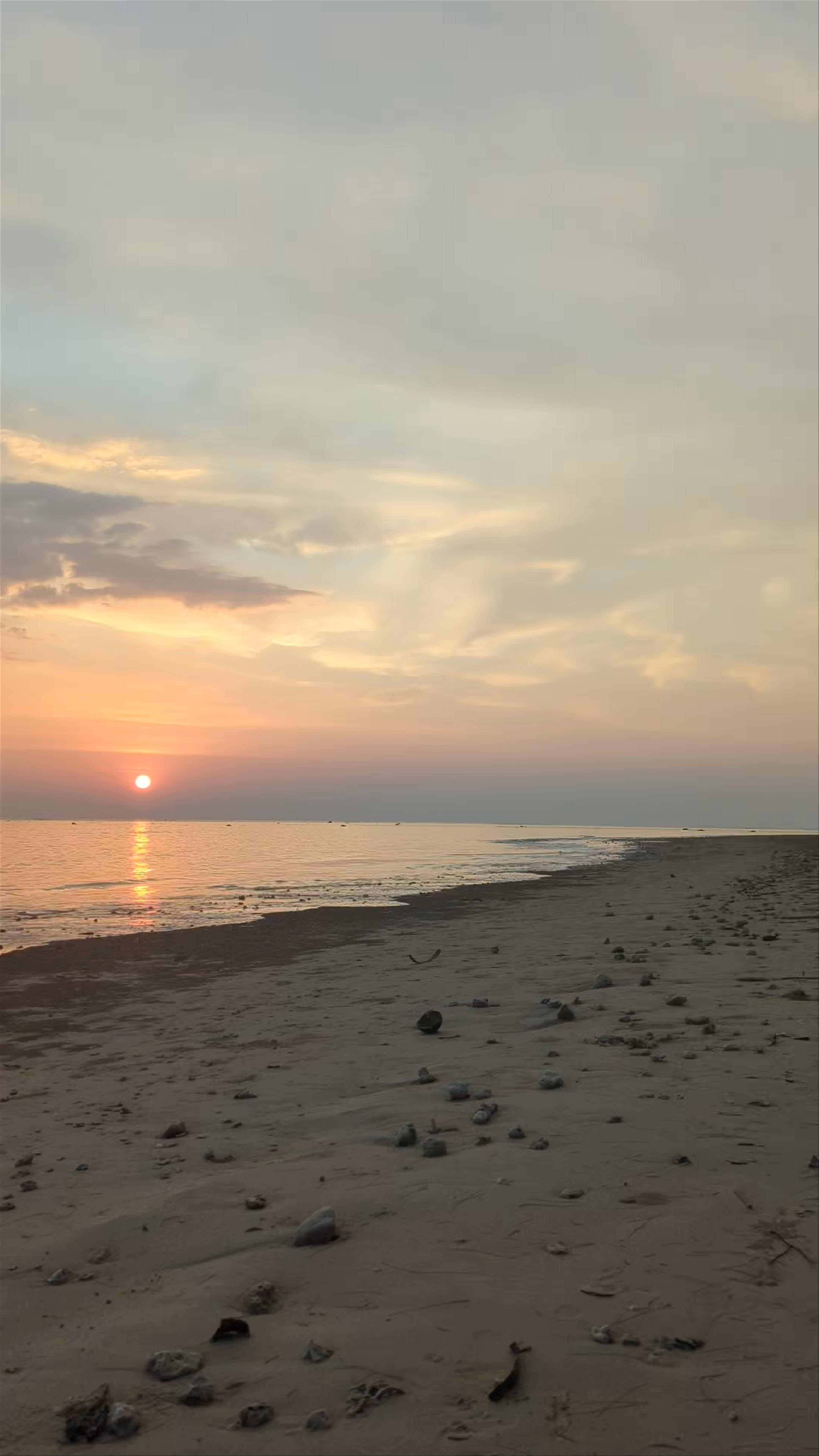 Coral Beach