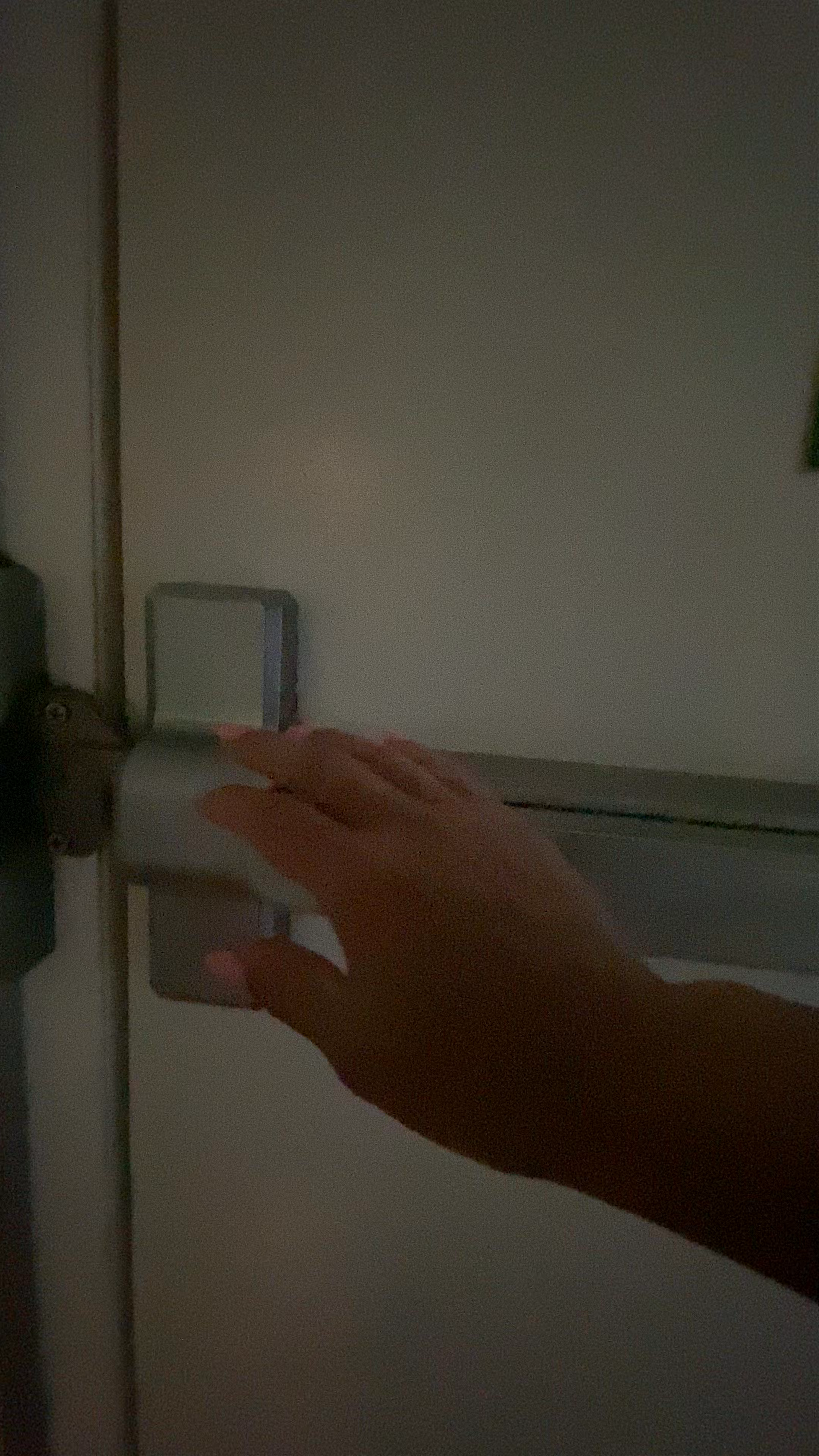 The Key West Butterfly and Nature Conservatory