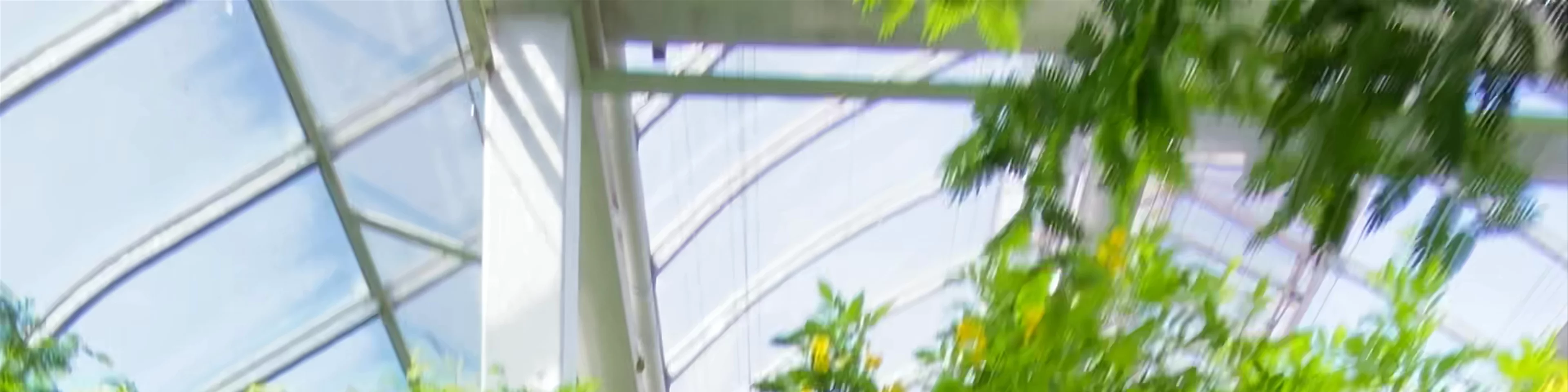 The Key West Butterfly and Nature Conservatory
