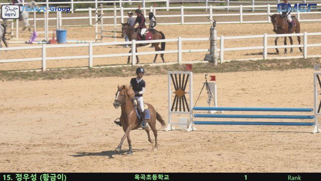 정우성1 (황금제왕) — 2026 경북오픈 구미 Show Jumping · 장애물 75cm