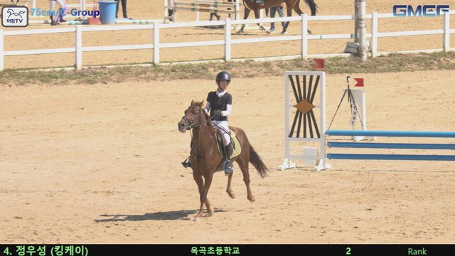 정우성1 (청초호) — 2026 경북오픈 구미 Show Jumping · 장애물 75cm