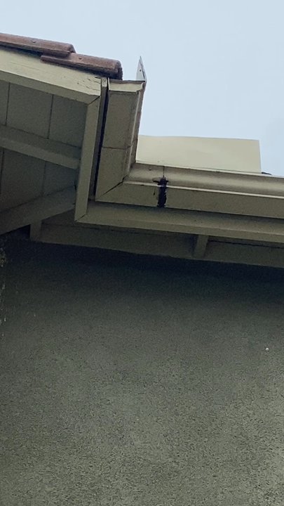 EC Services - This is the video of our rain gutter leakage. Please let me know if you can repair it - Window Washing Near Me - Long Beach, California