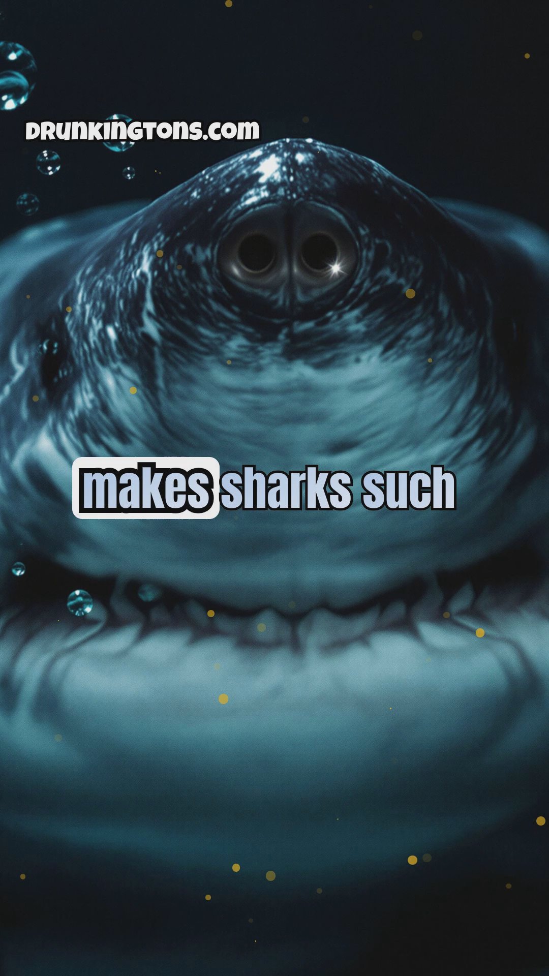 The Fascinating Anatomy of Sharks: Understanding the Ocean's Predators