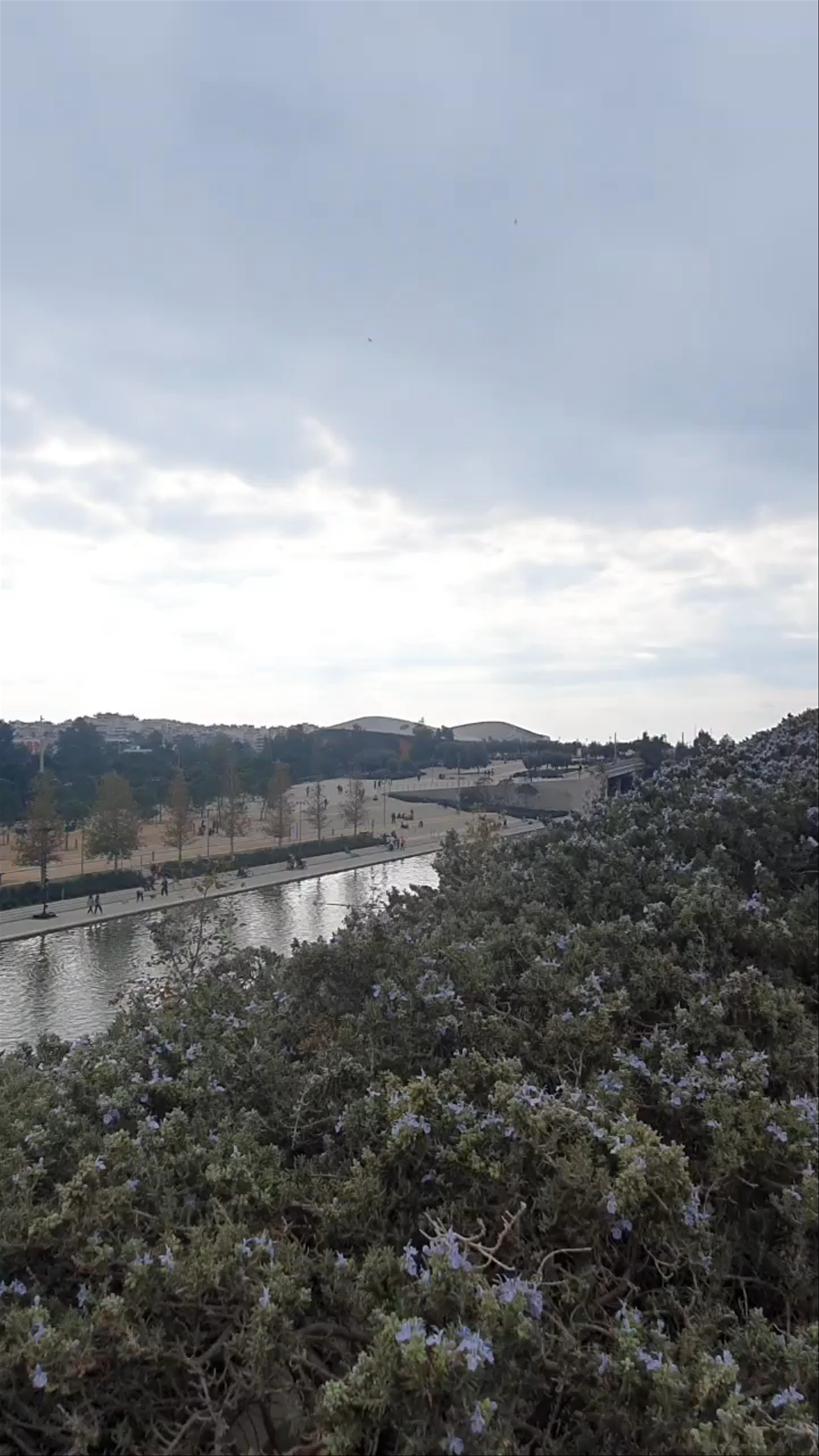 Stavros Niarchos Foundation Cultural Center: Breathtaking Views of Athens' Urban Oasis