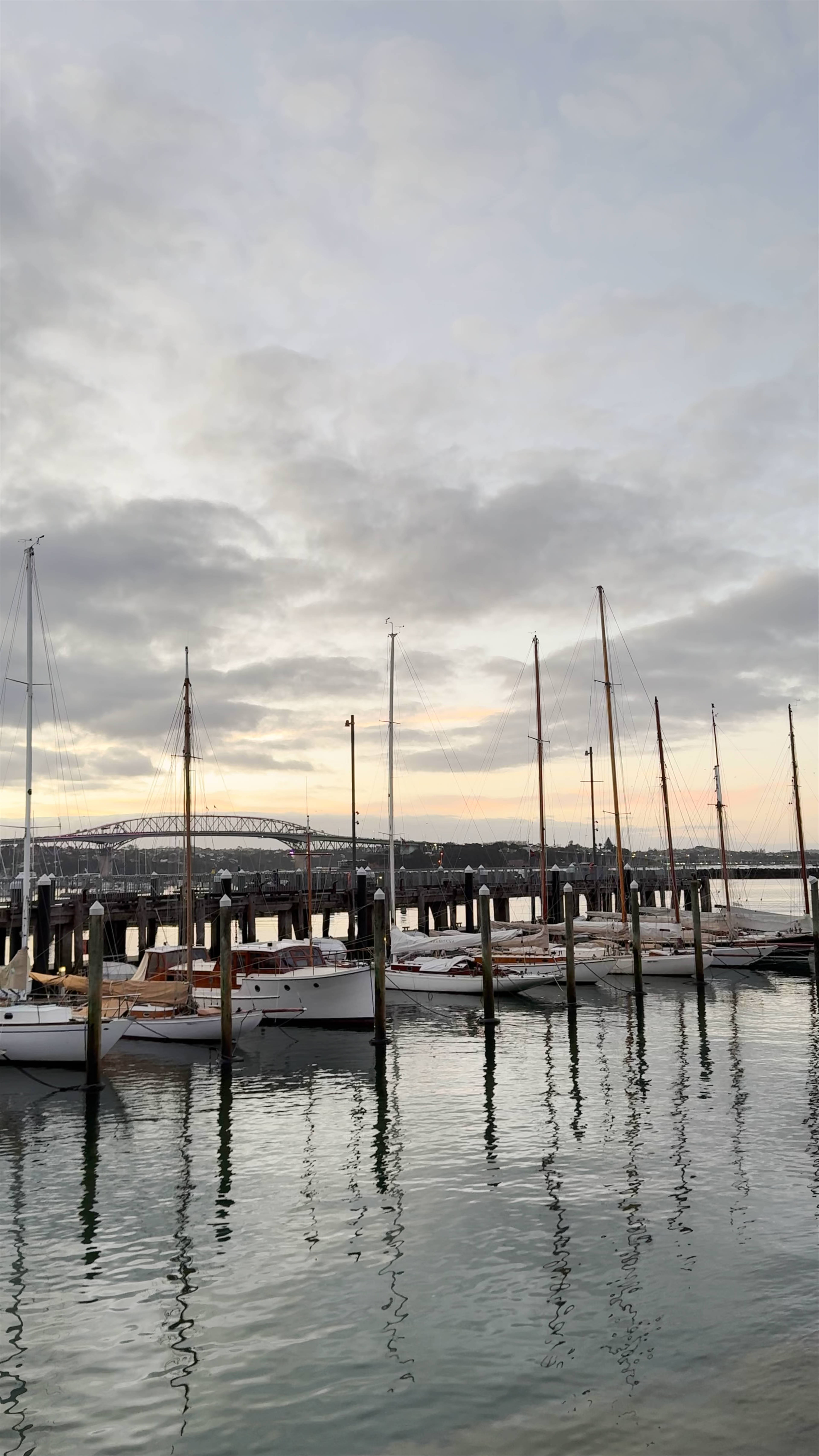 Morning Serenity at Silo Superyacht Marina, Auckland