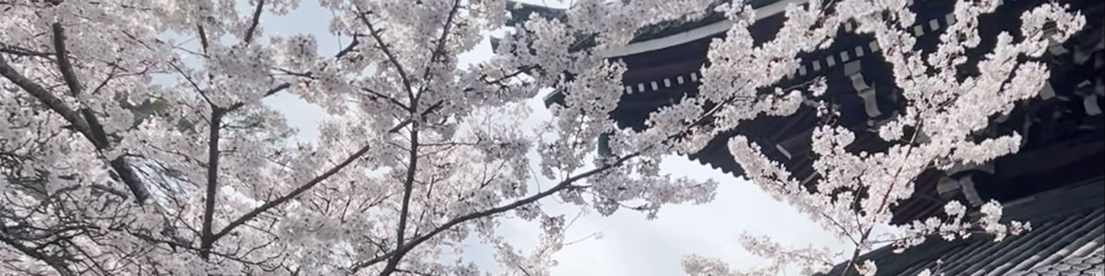 Nanzenji Temple