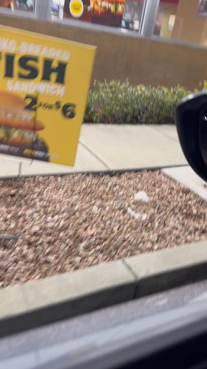 Carl's Jr - Nicest AI customer service - Fast Food Near Me - Vista, California