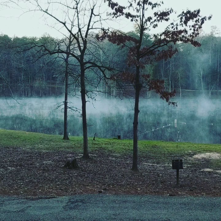 Clarkco State Park - Here are some of the pictures of the campground. - Parks Near Me - Quitman, Mississippi