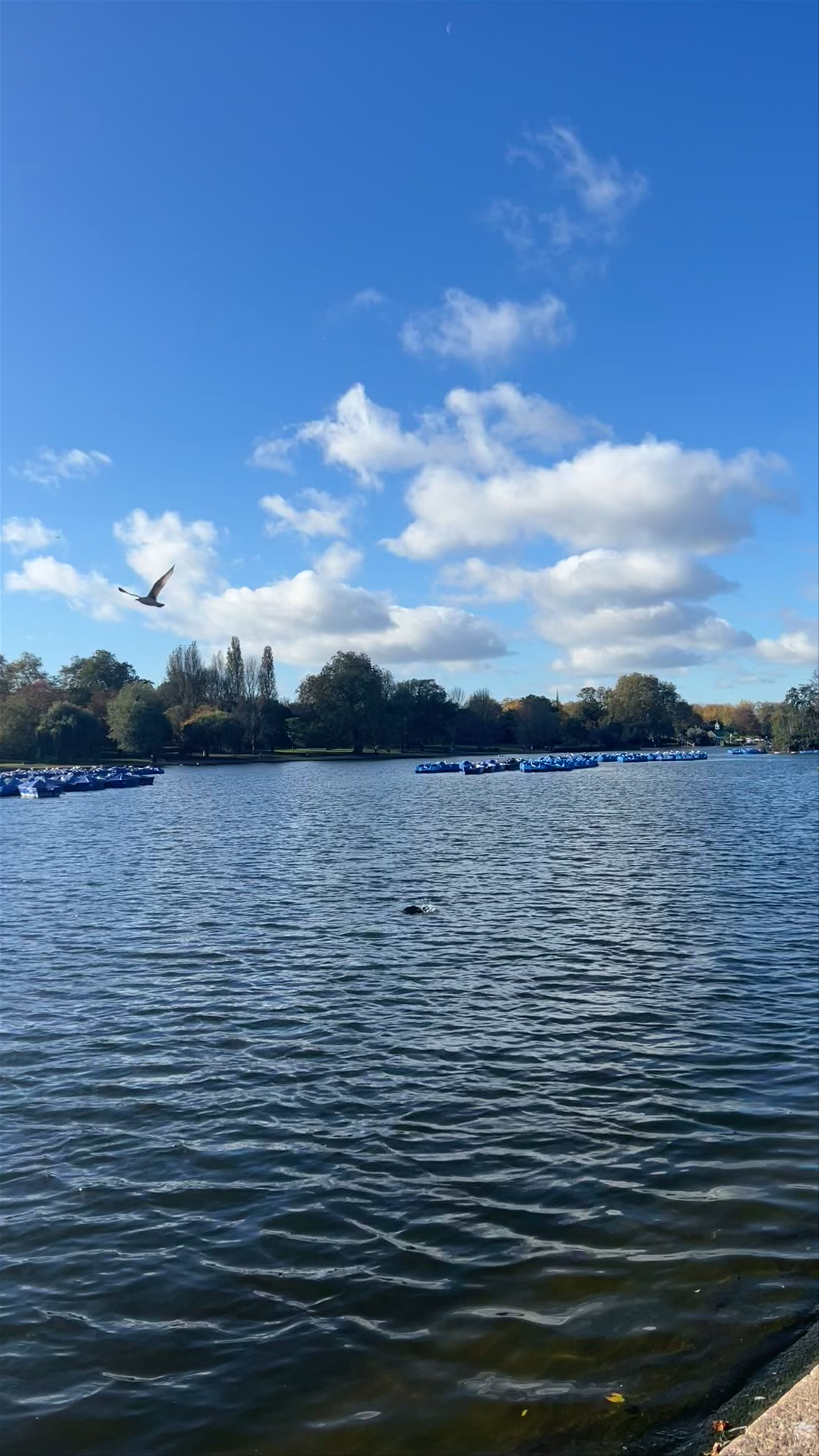 The Serpentine, Hyde Park: A Serene Urban Oasis in London