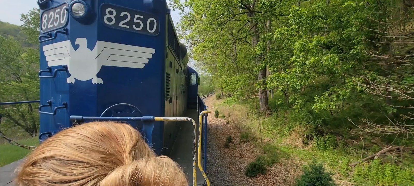 Potomac Eagle Scenic Railroad - Up close and personal with the fantastic engine! - Historical Tours Near Me - Romney, West Virginia