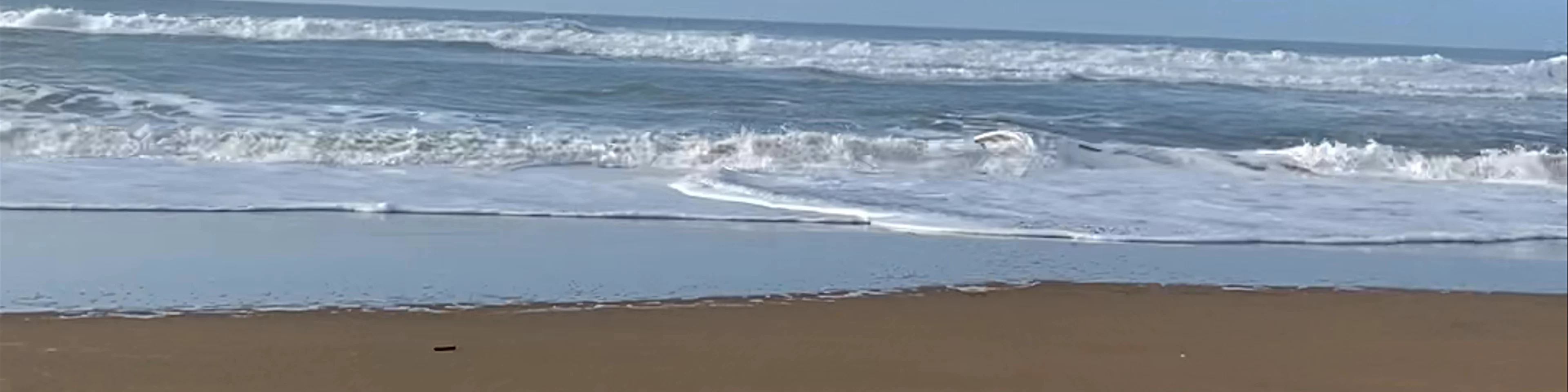 Crooklets Beach - Bude 