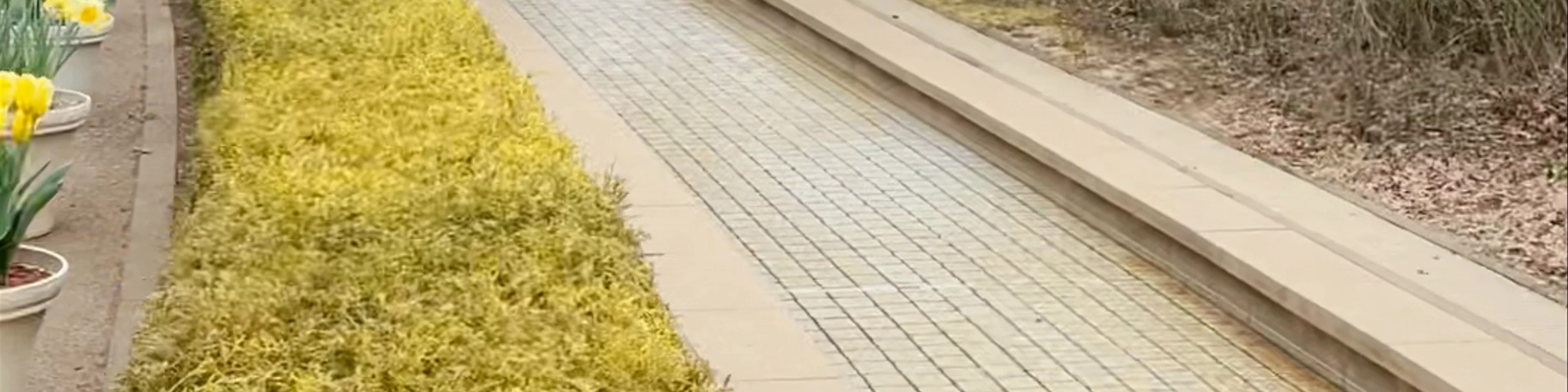 Funabashi Andersen Park