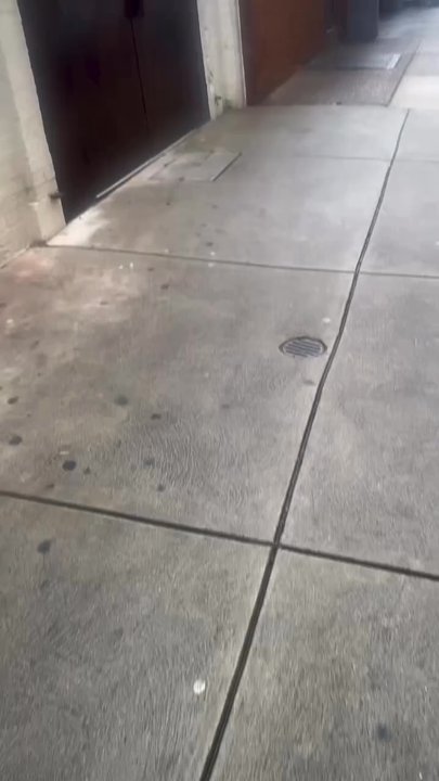 Dancerobot - Dancerobot! Great new addition on Samson St! - Japanese Near Me - Philadelphia, Pennsylvania