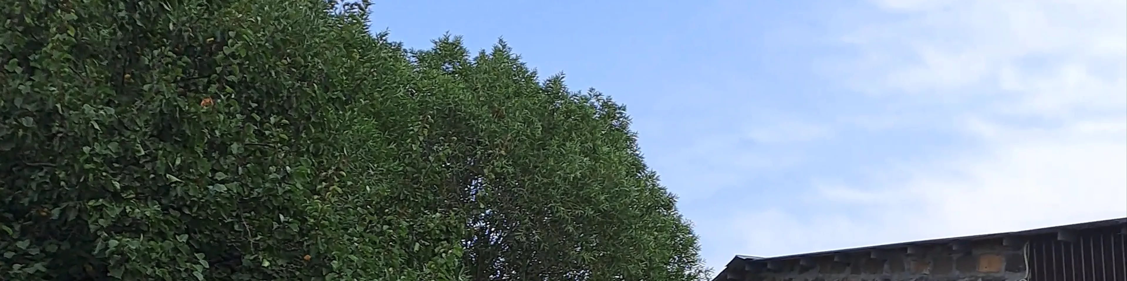 Mankus Eco Park