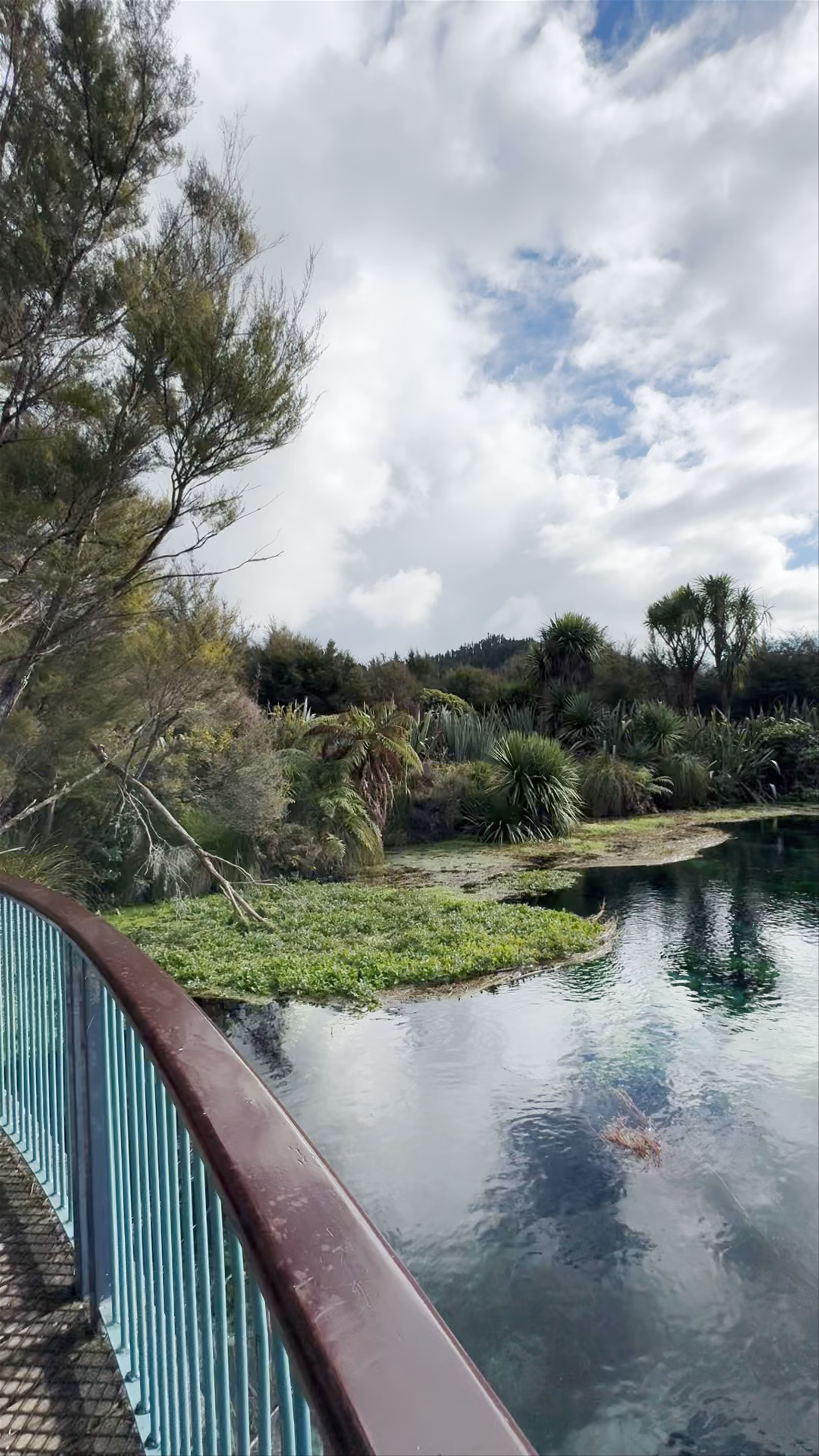 Te Waikoropupu Springs Pupu Springs Road