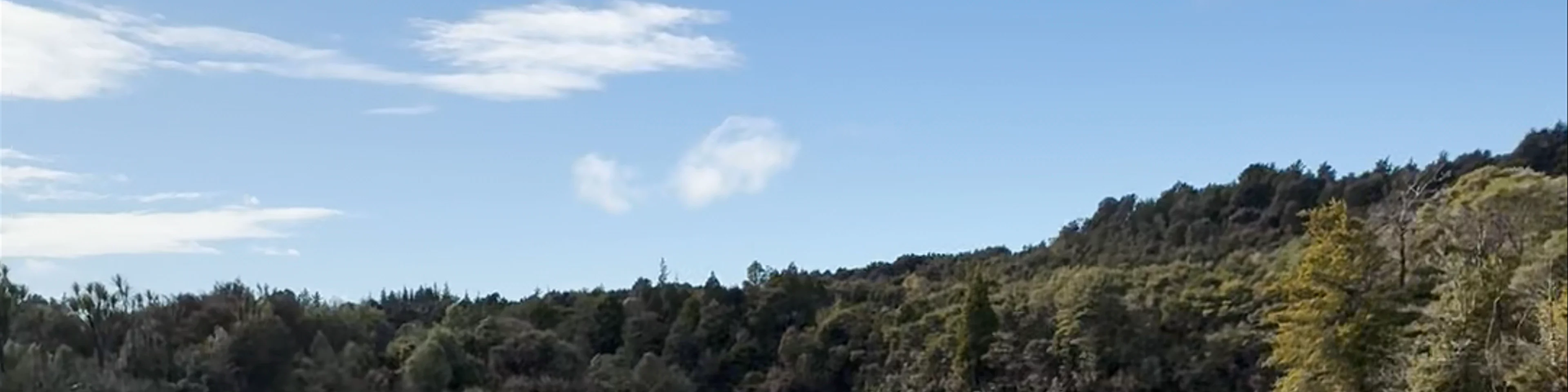 Te Waikoropupu Springs Pupu Springs Road