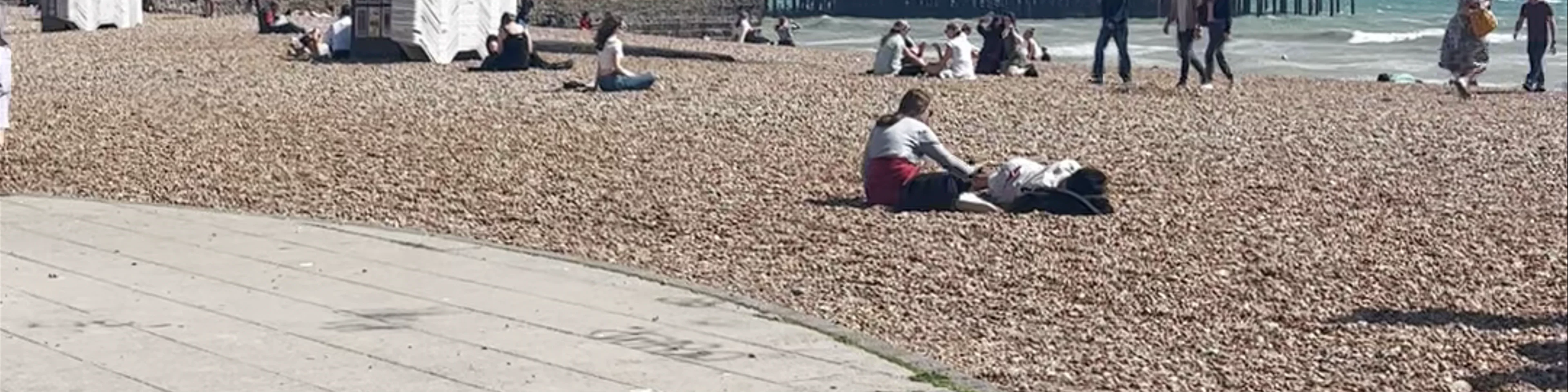 Brighton Seafronts