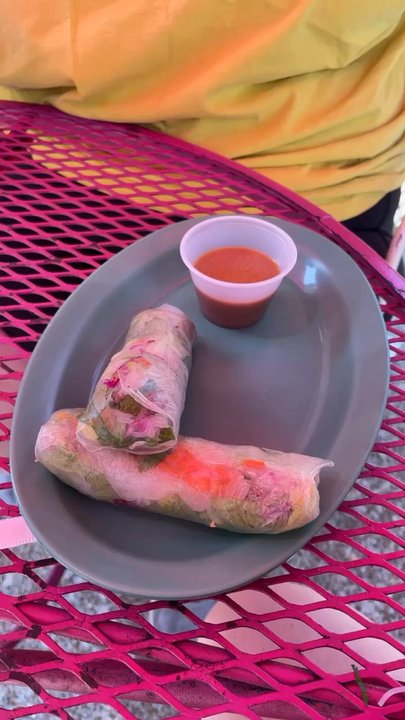 Lona's Lil Eats - Fresh Spring Rolls (3) one chicken, one steak and one veggie - Asian Fusion Near Me - St Louis, Missouri