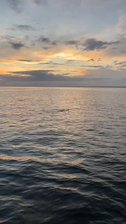 Sunventure Cruises - Boat Tours Near Me - Miramar Beach, Florida