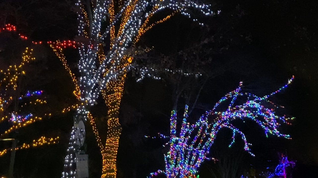 ZooLights - Zoos Near Me - Washington, DC, District of Columbia