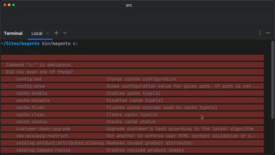 Execute CLI commands in Magento