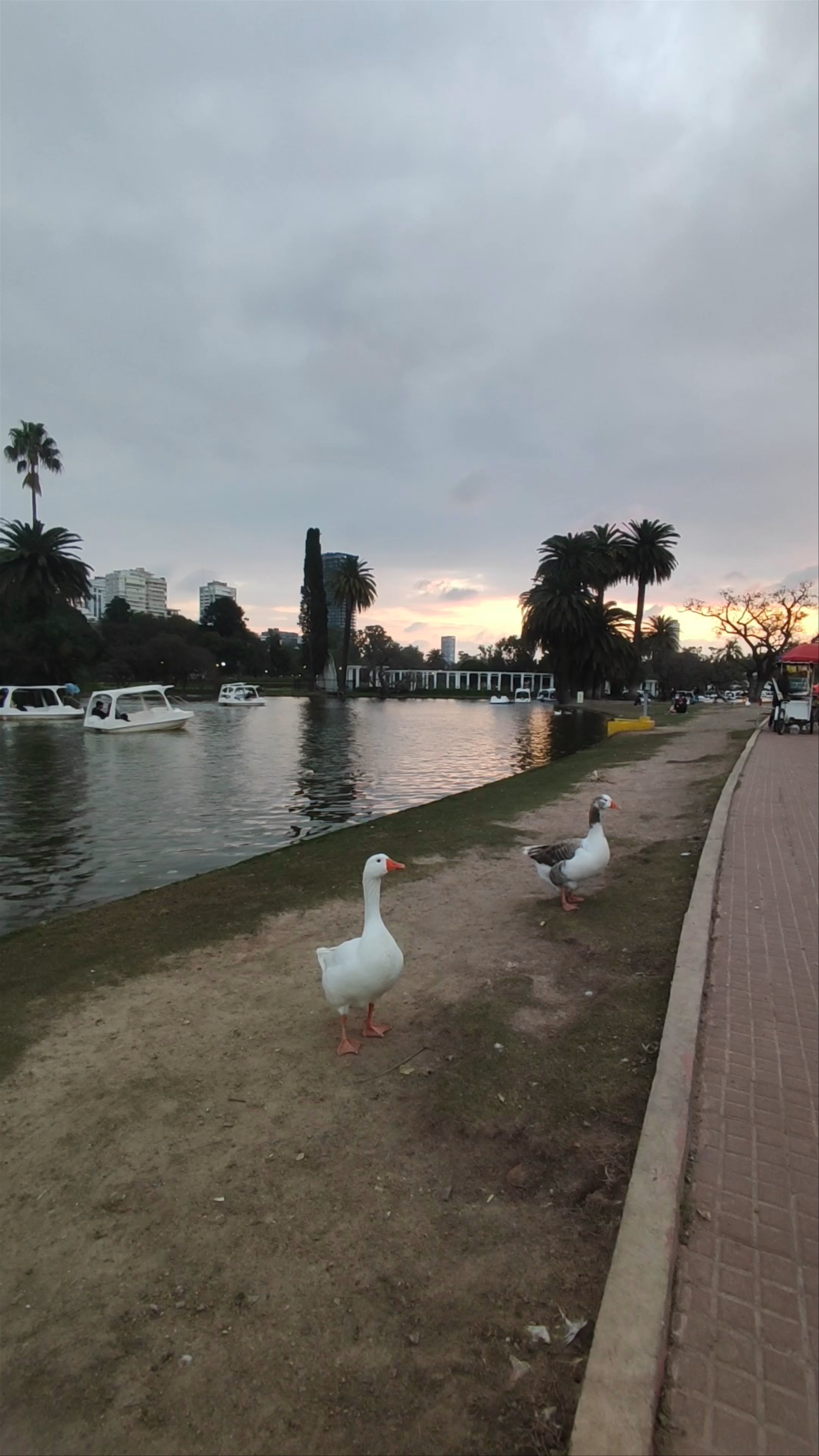Parque El Rosedal