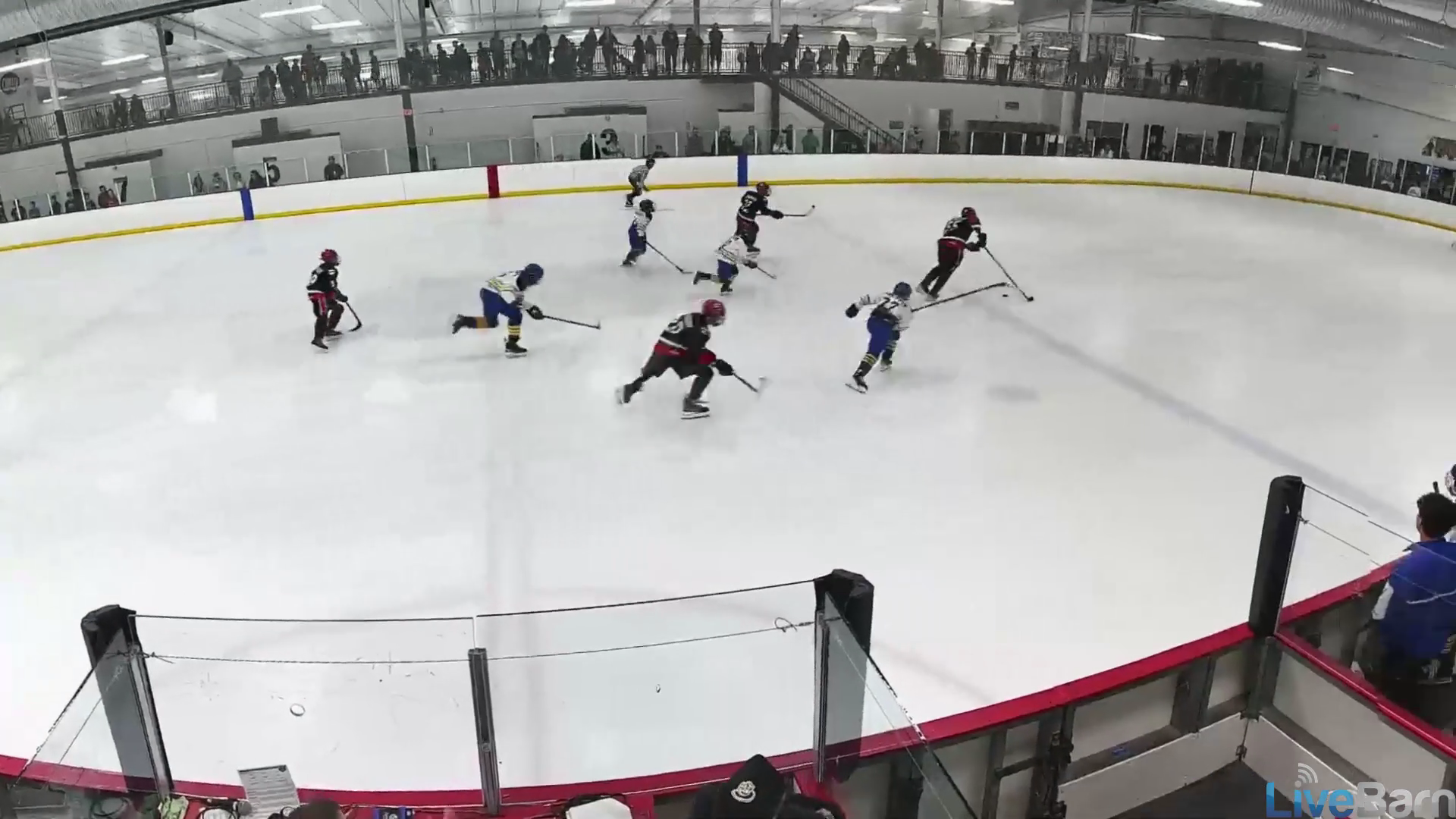 Brendan Dahlberg's Breakaway Goal: Defense to Offense Masterclass