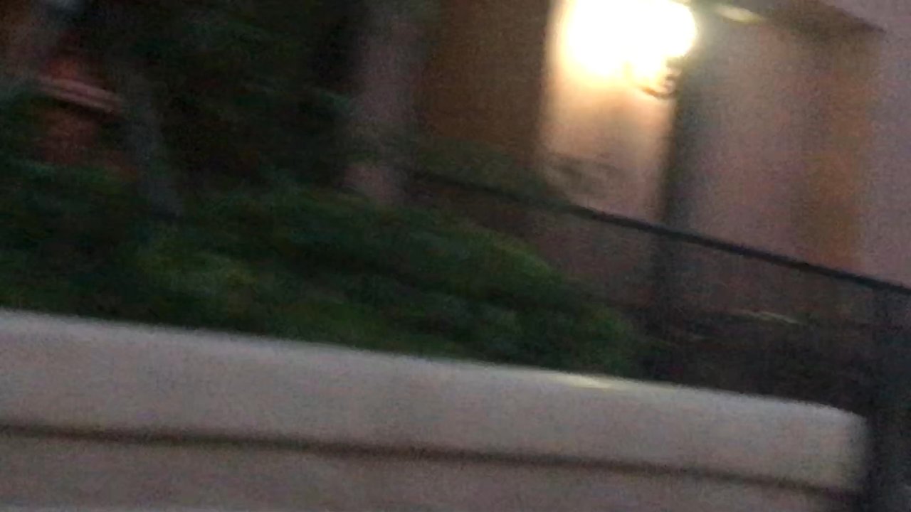 Villa Sofia - Welcome to Villa Sophia. Unkempt dogs and balconies that smell of animal feces. Spent your 3k per month somewhere else. You'll be happier - Condominiums Near Me - Sherman Oaks, California