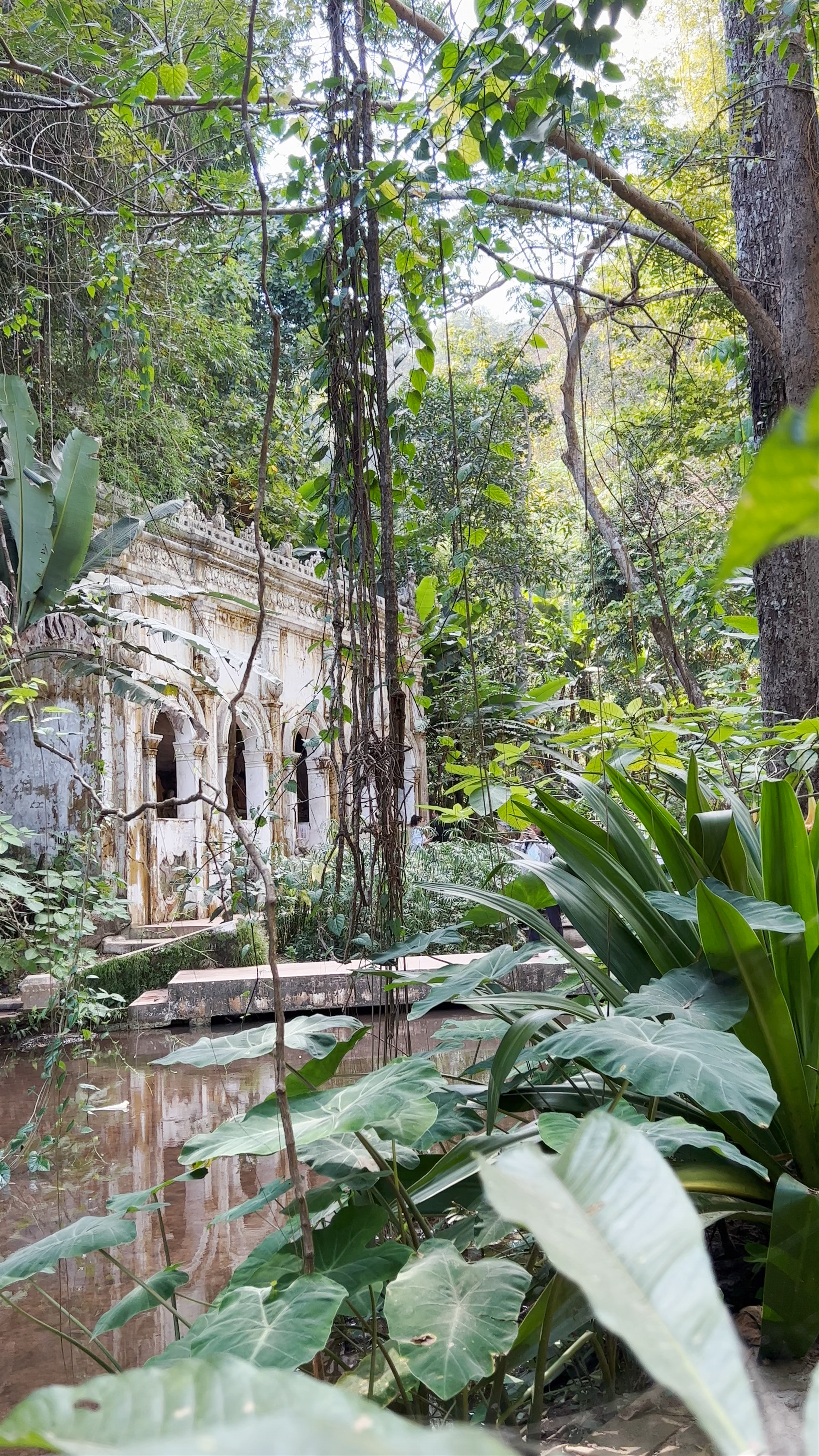 Wat Pha Lat