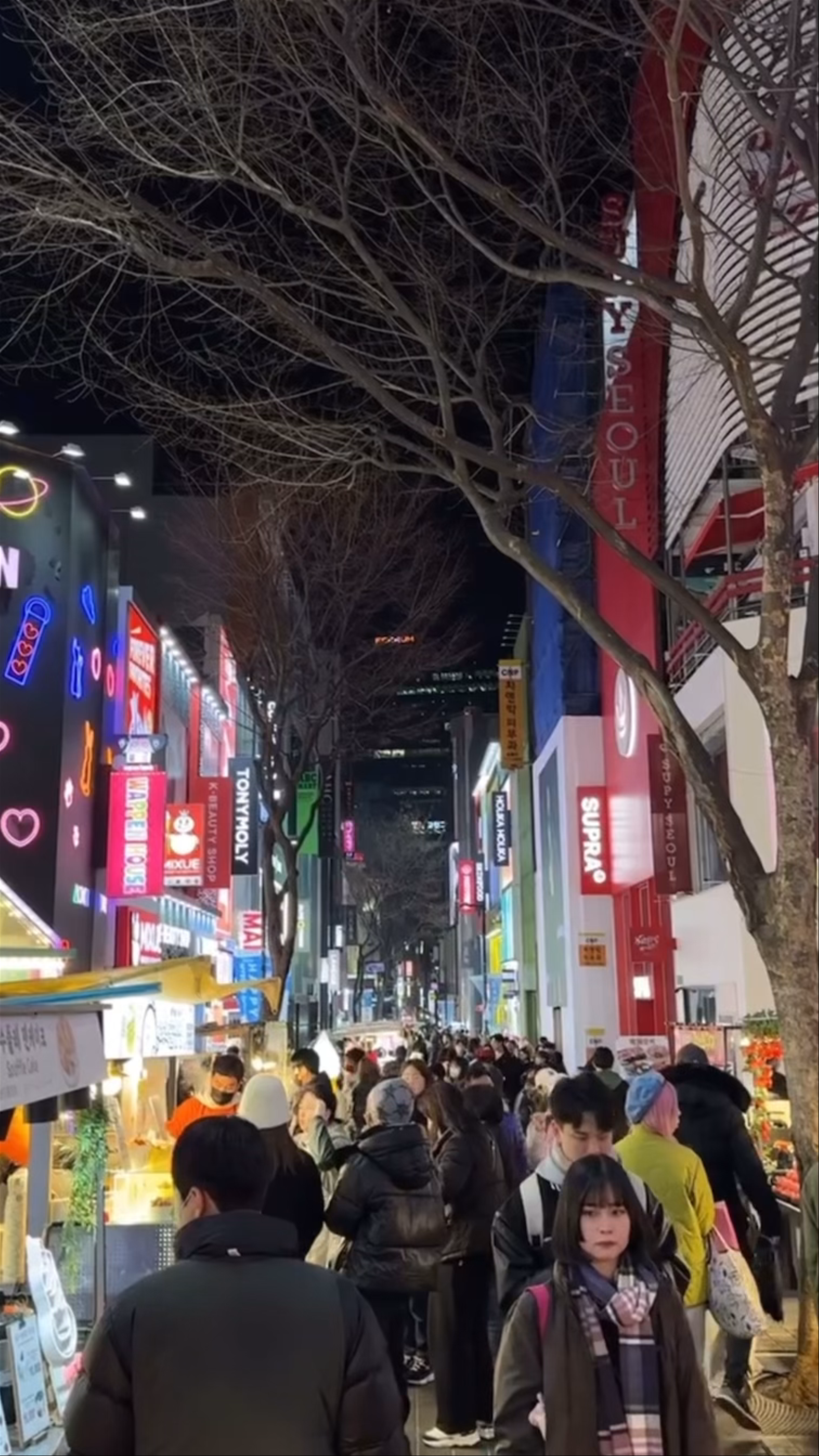 Nightlife and Street Food Buzz in Myeongdong, Seoul