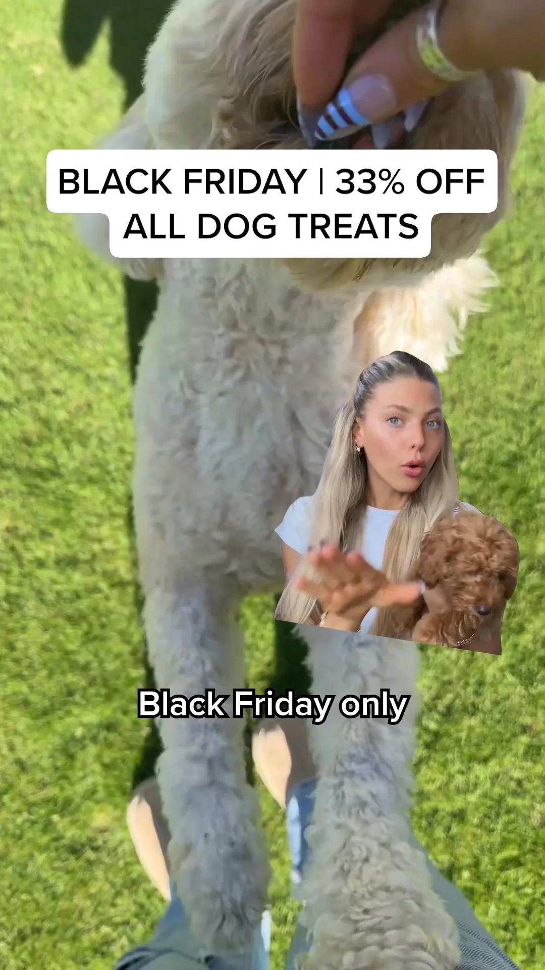 TikTok creative example 1