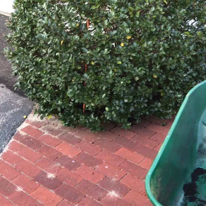 Matos Lawn Care - After I was done with the weeding out the beds - Landscape Architects or Designers Near Me