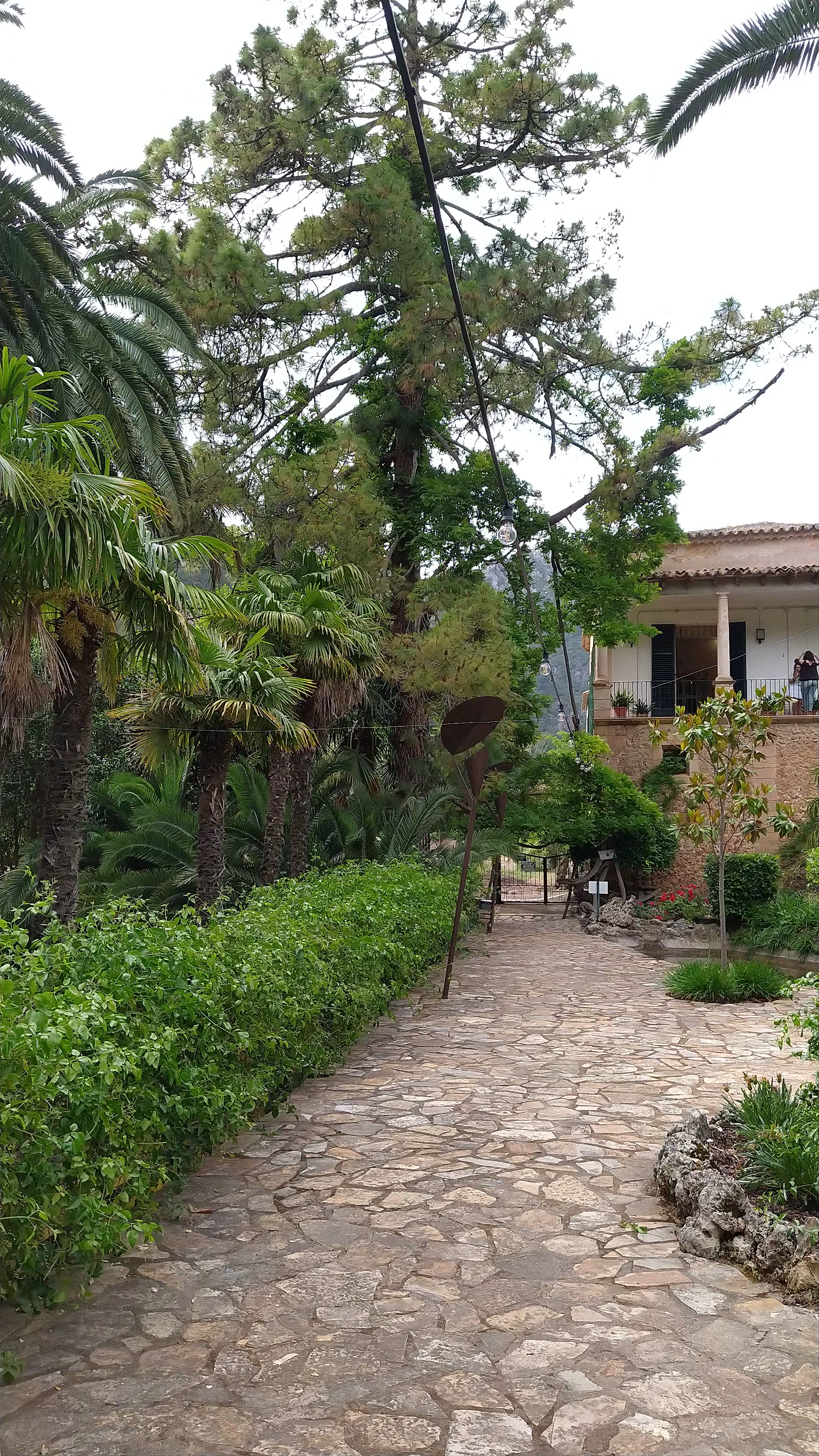 Explore the Lush Jardines de Alfabia in Spain