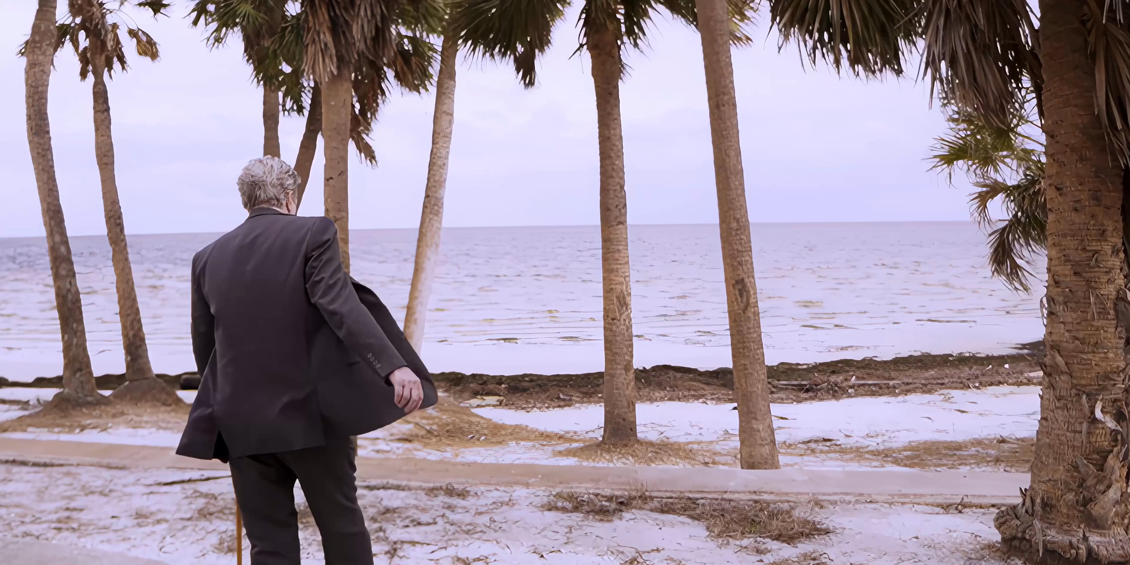 Two men in formal attire converse while standing near palm trees along a sandy beach. One man subsequently walks away from the other along the shoreline.