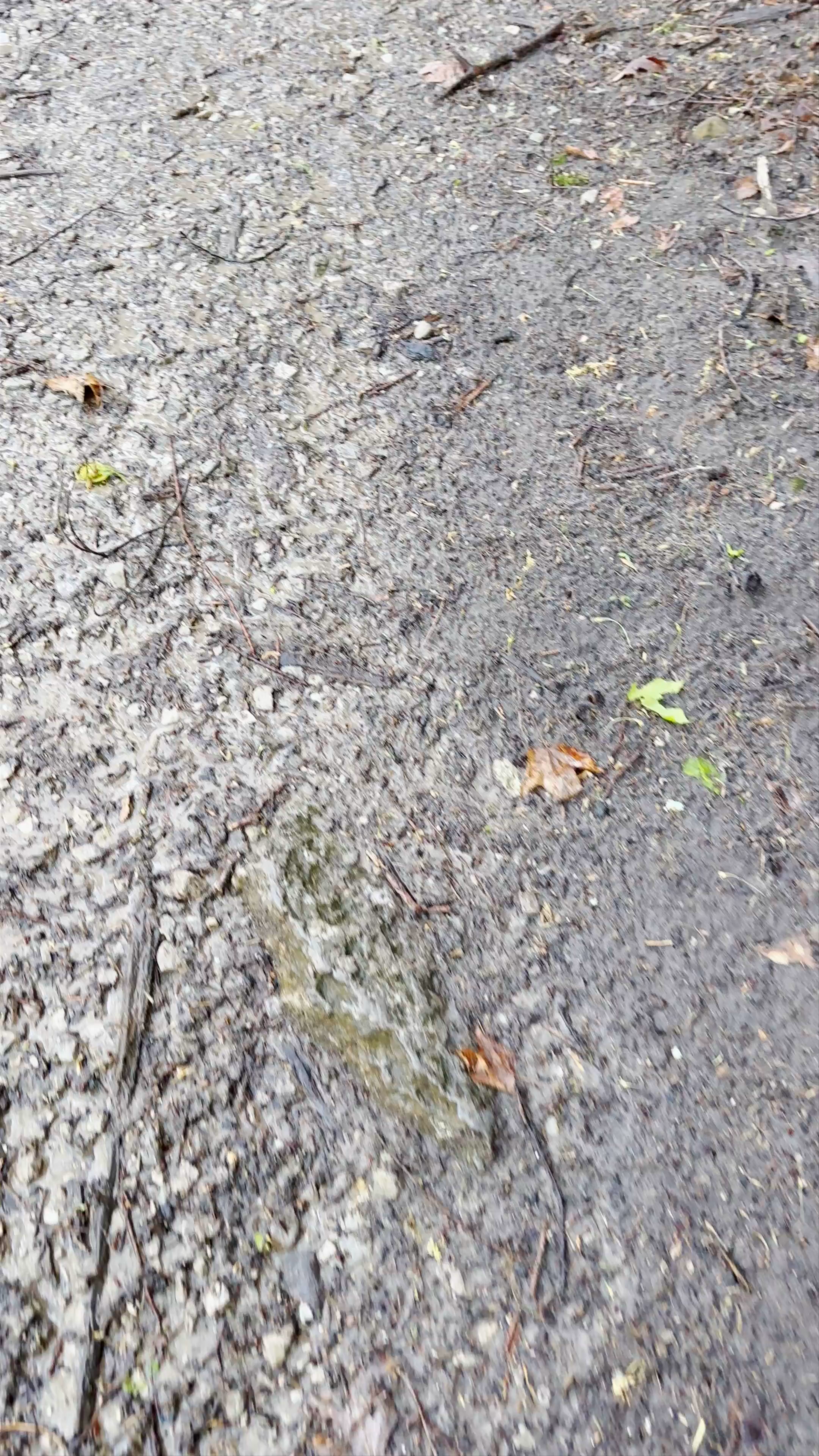 Starved Rock State Park