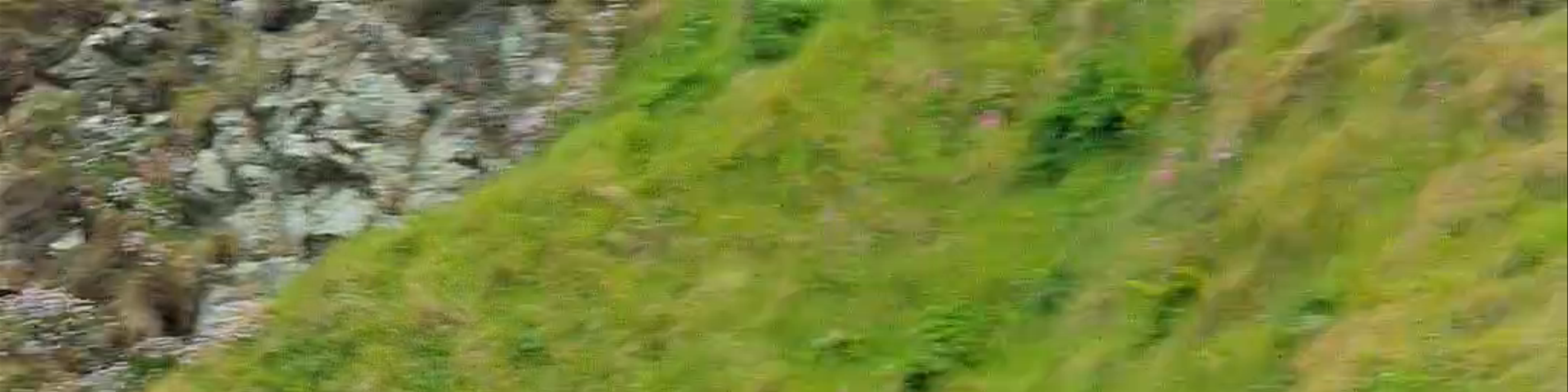 Scotland