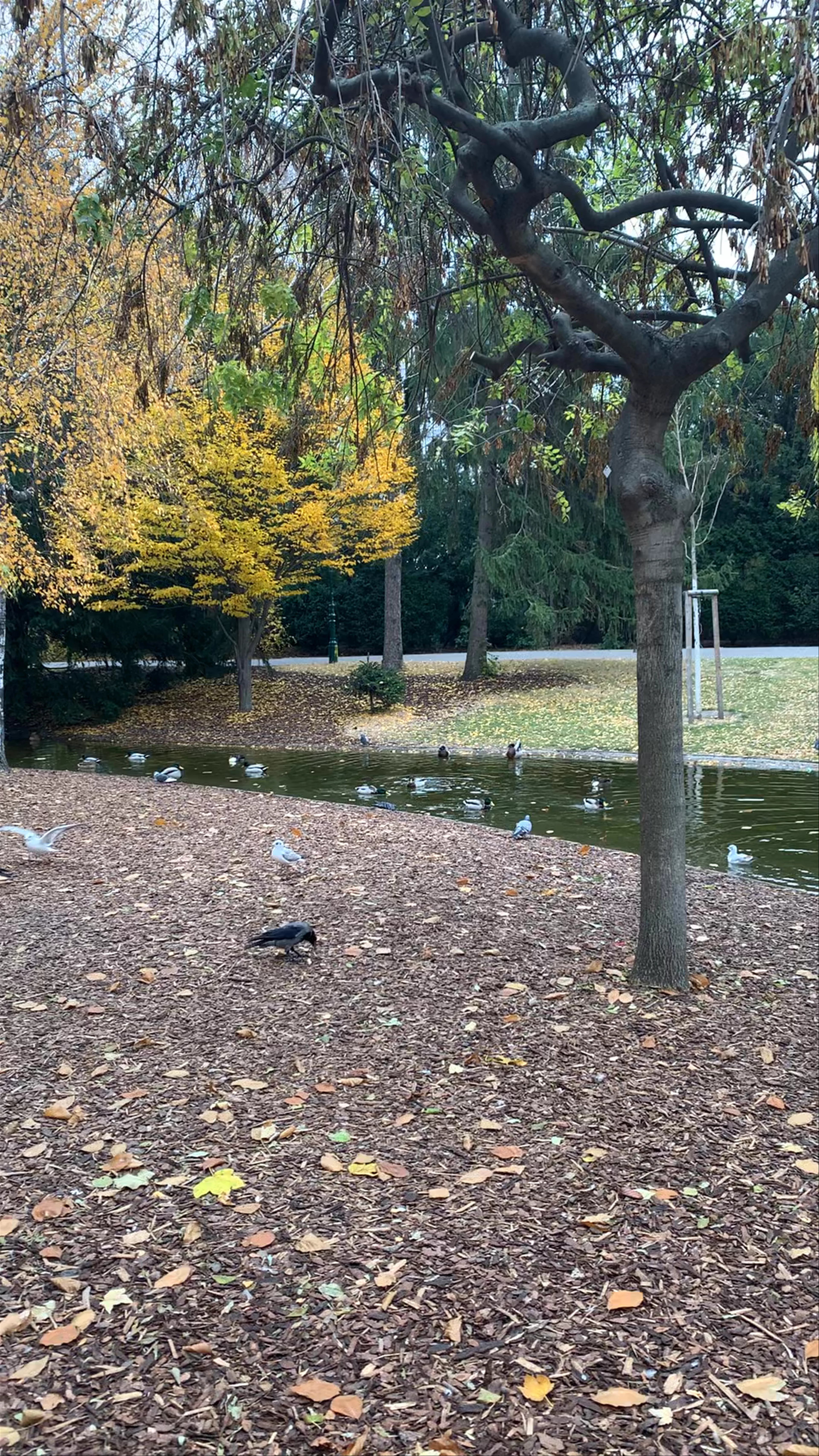 Stadtpark