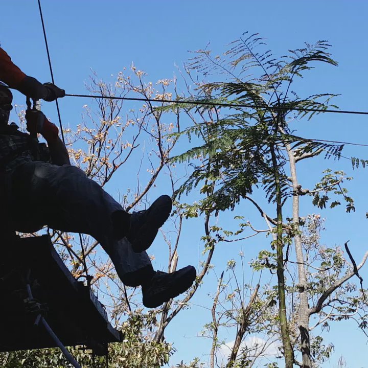 Caravan Tours - Zip-lining in Costa Rica - Travel Services Near Me