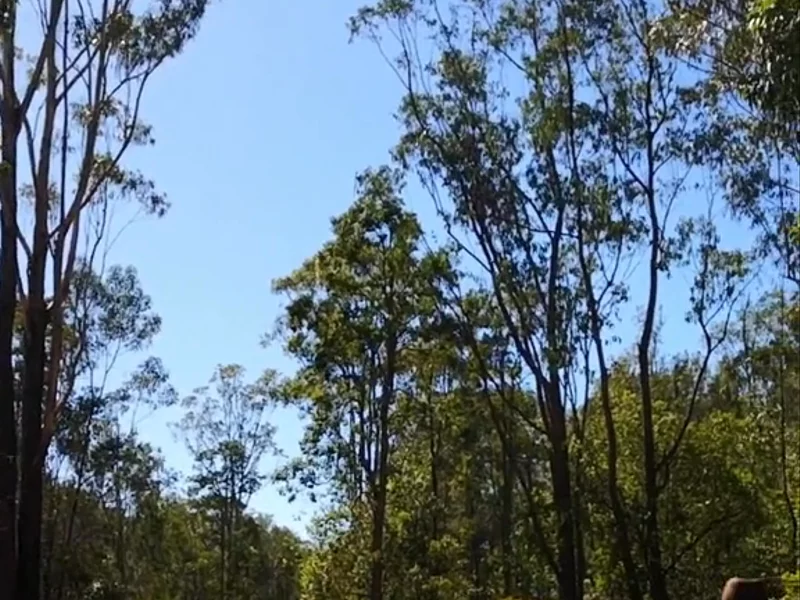 Campsite Review