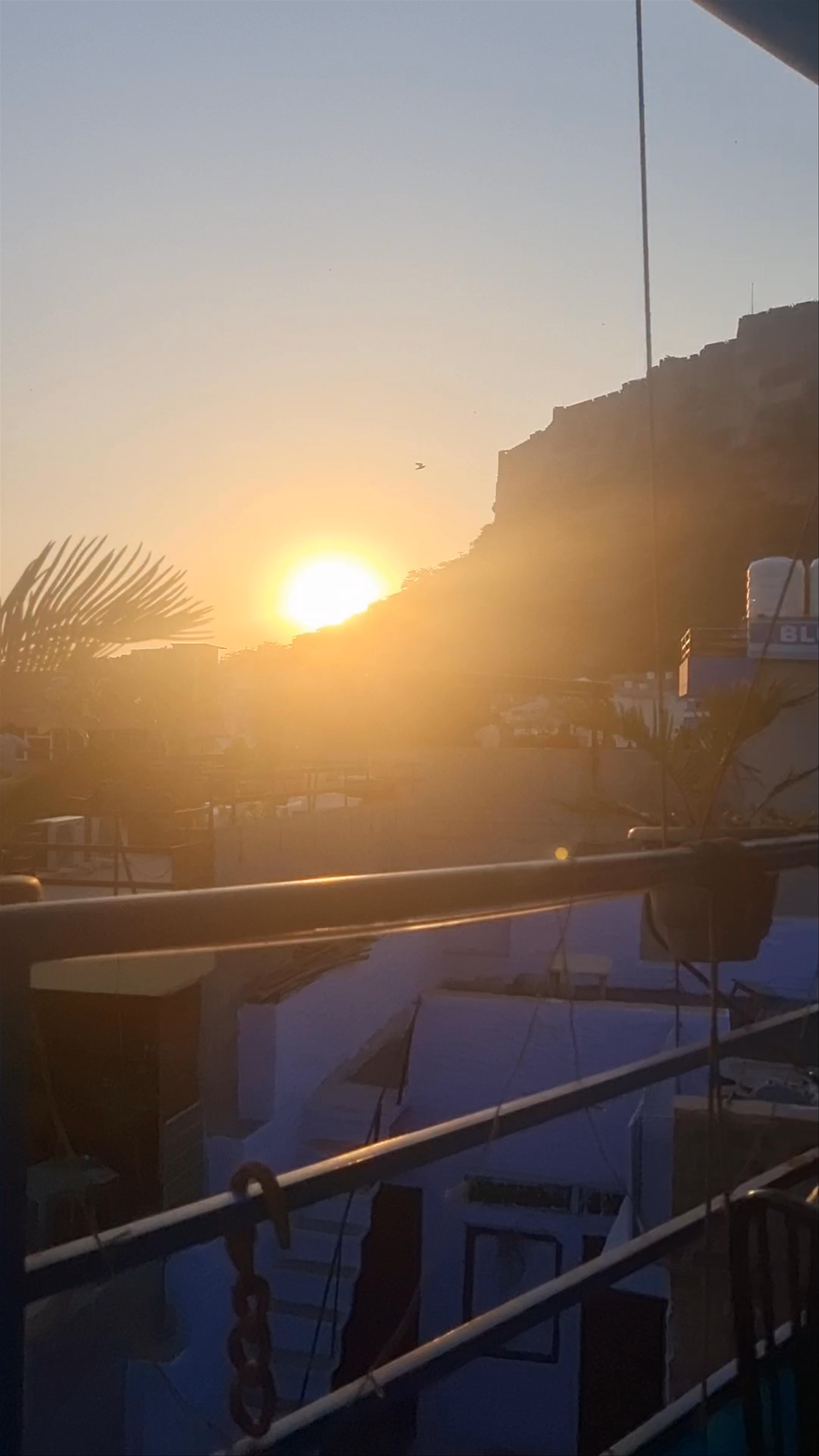 Sunset Serenity at The Stranger's Tavern - Rooftop Views in Jodhpur