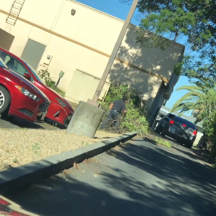 Burger King - Burger King employees made to do yard work! - Burgers Near Me - Corning, California