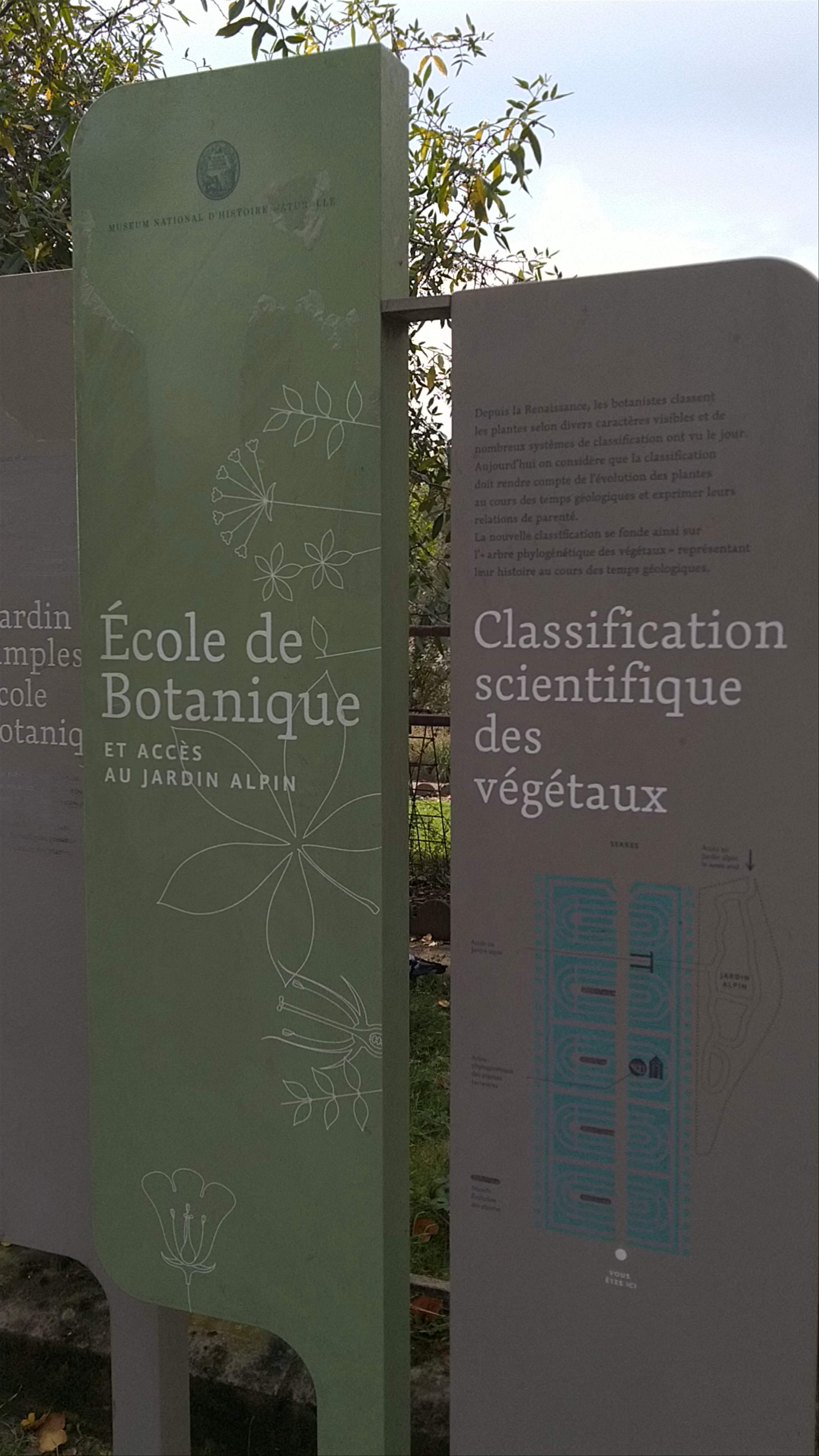 A Serene Autumn Stroll at Jardin de l'école de botanique, Paris