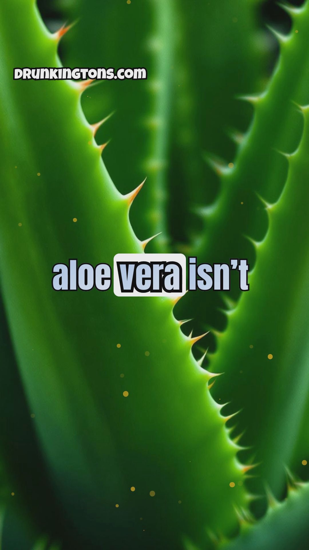 The Unexpected Benefits of Common Plants