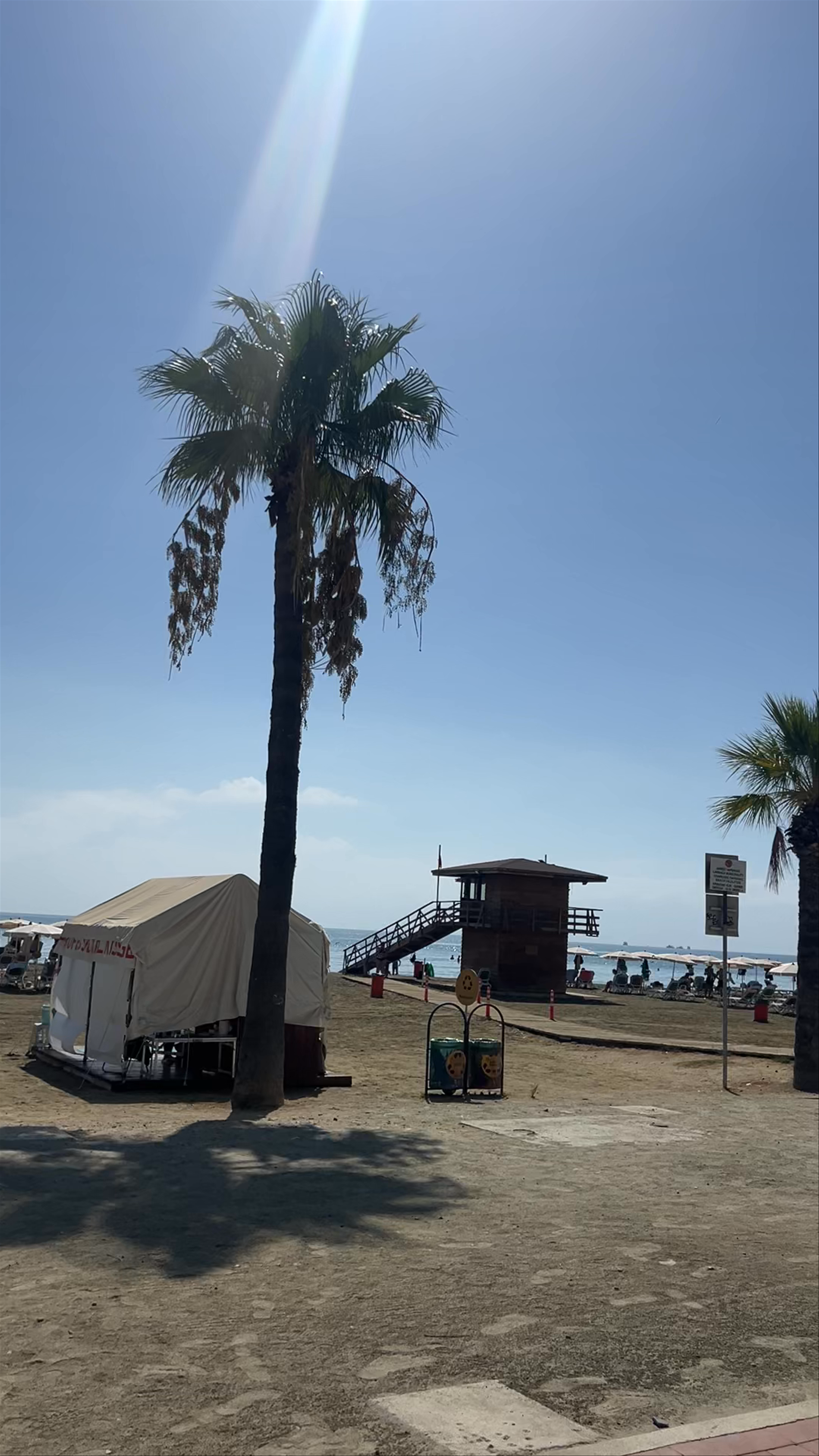 Sunlit Stroll Along Finikoudes Beach, Larnaca, Cyprus