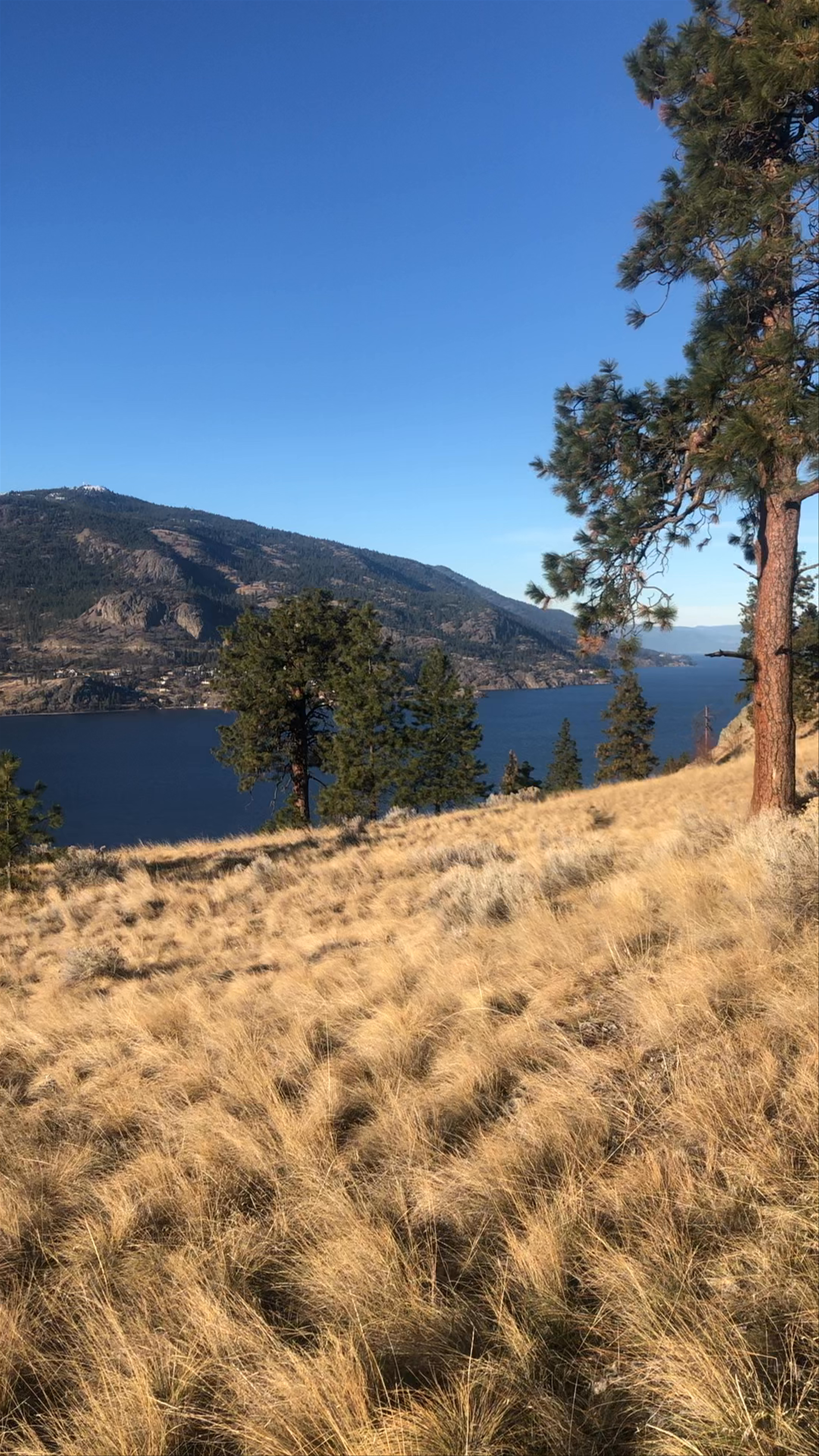 Knox Mountain Hiking Trails