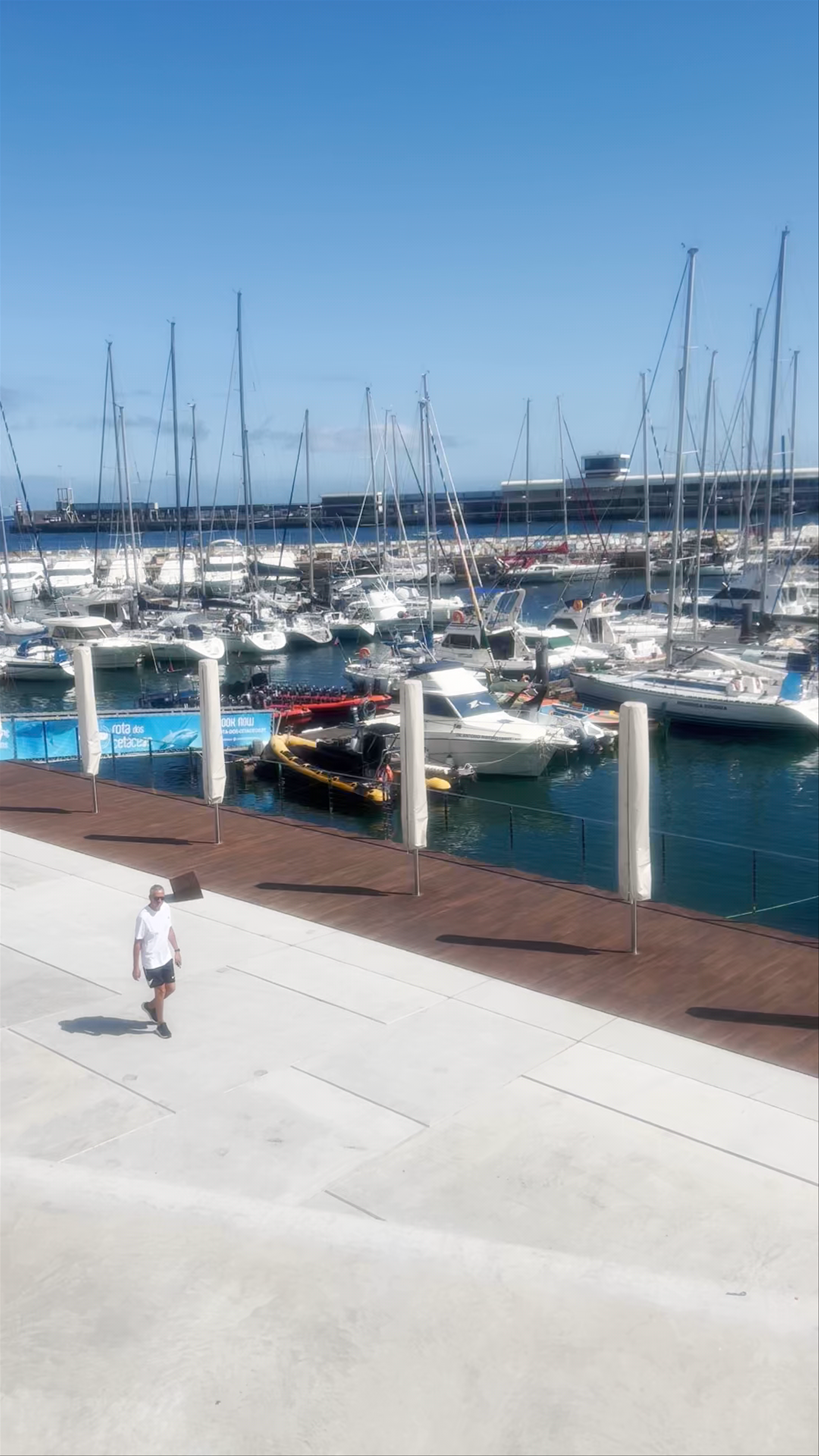 Marina do Funchal