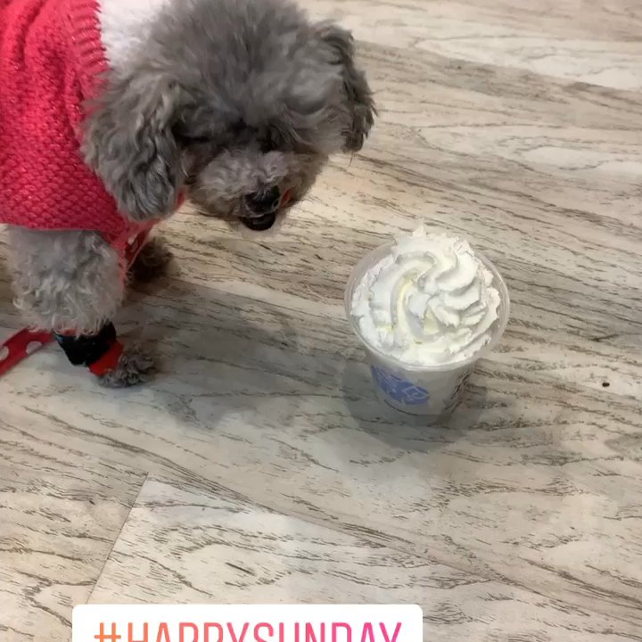 Sweetwaters Coffee & Tea - Pupcup dog friendly - Coffee & Tea Near Me - Newark, New Jersey