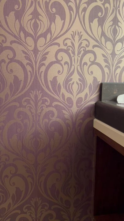 Eldorado At The Row - Room: Spa 87: noise can be heard through the walls from the little bathroom - Hotels Near Me - Reno, Nevada